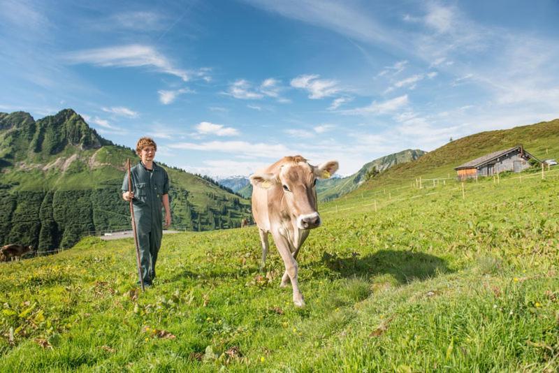 Ferienwohnungen Schantl ショペルナウ エクステリア 写真